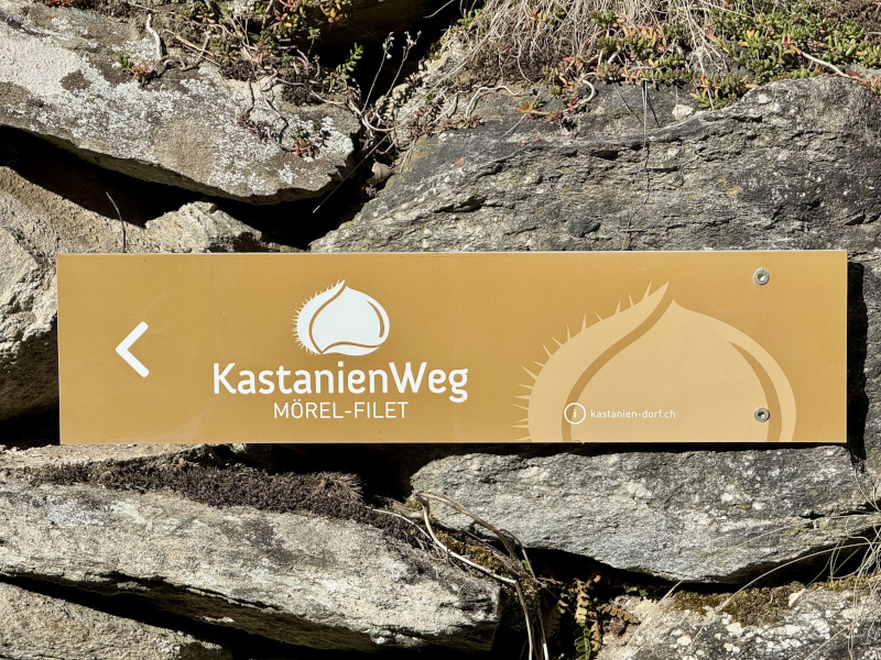 2025-10-Salzgäb-Archiv-J-Baumann4-800