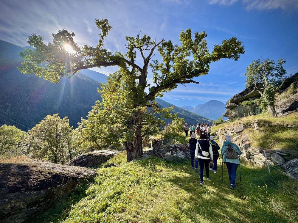 2025-10-Salzgäb-Archiv-J-Baumann5