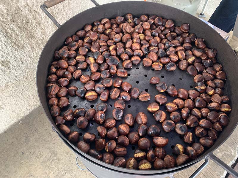 2025-Brisolée-in-Grengiols-800-(13)